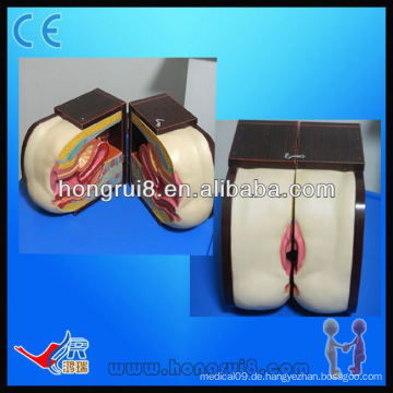 ISO Advanced Female IUD Training Modell, iud Training Simulator